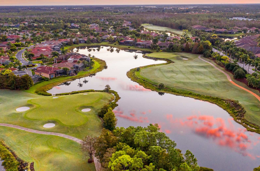 Olde Cypress