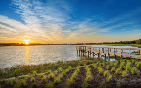 Vivid Shores (17)