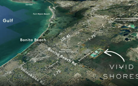 Vivid Shores (2)