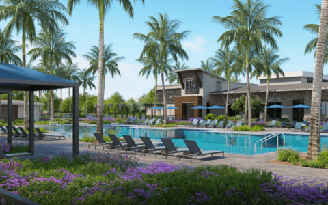 Vivid Shores (5)