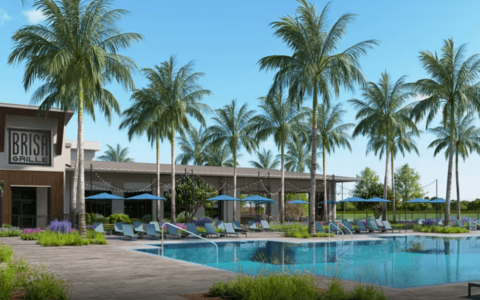 Vivid Shores (6)