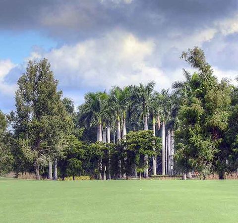 MoGolfTour_04