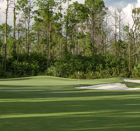 Valencia Golf and Country Cub 12