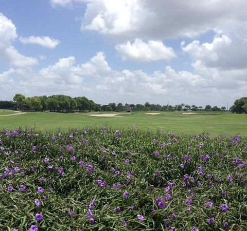 hole-18-mustang