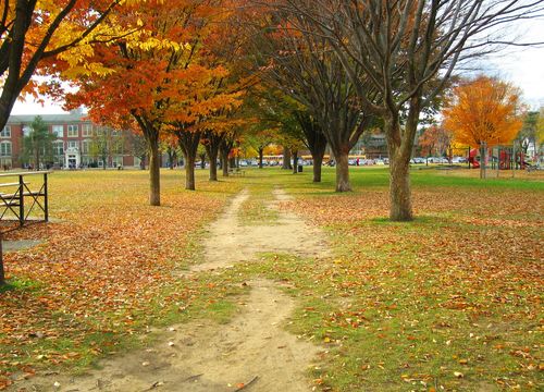autumn park dirt path