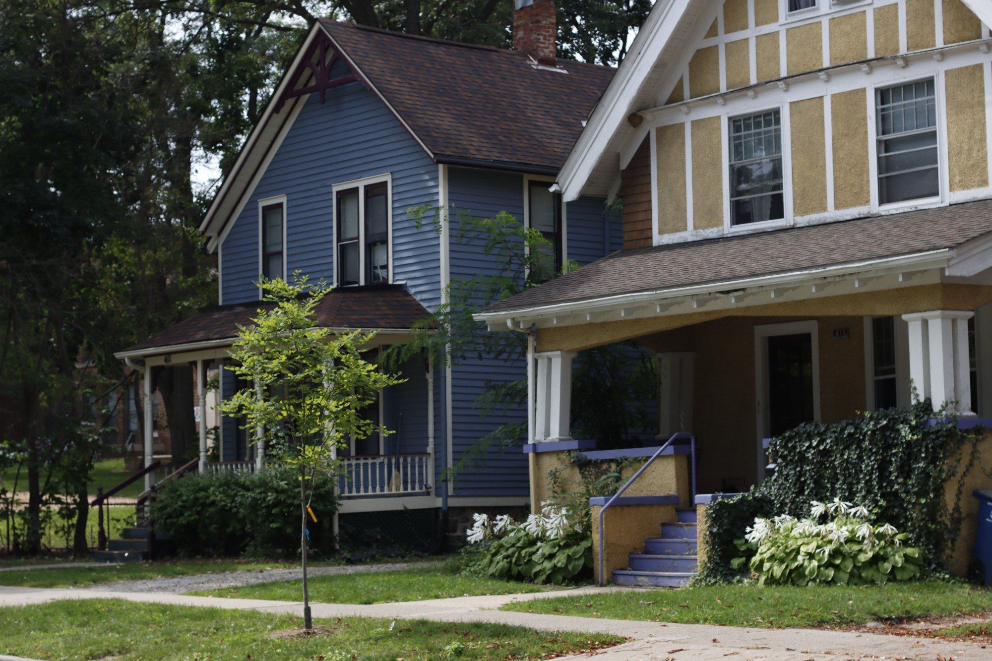 colorful suburban family homes