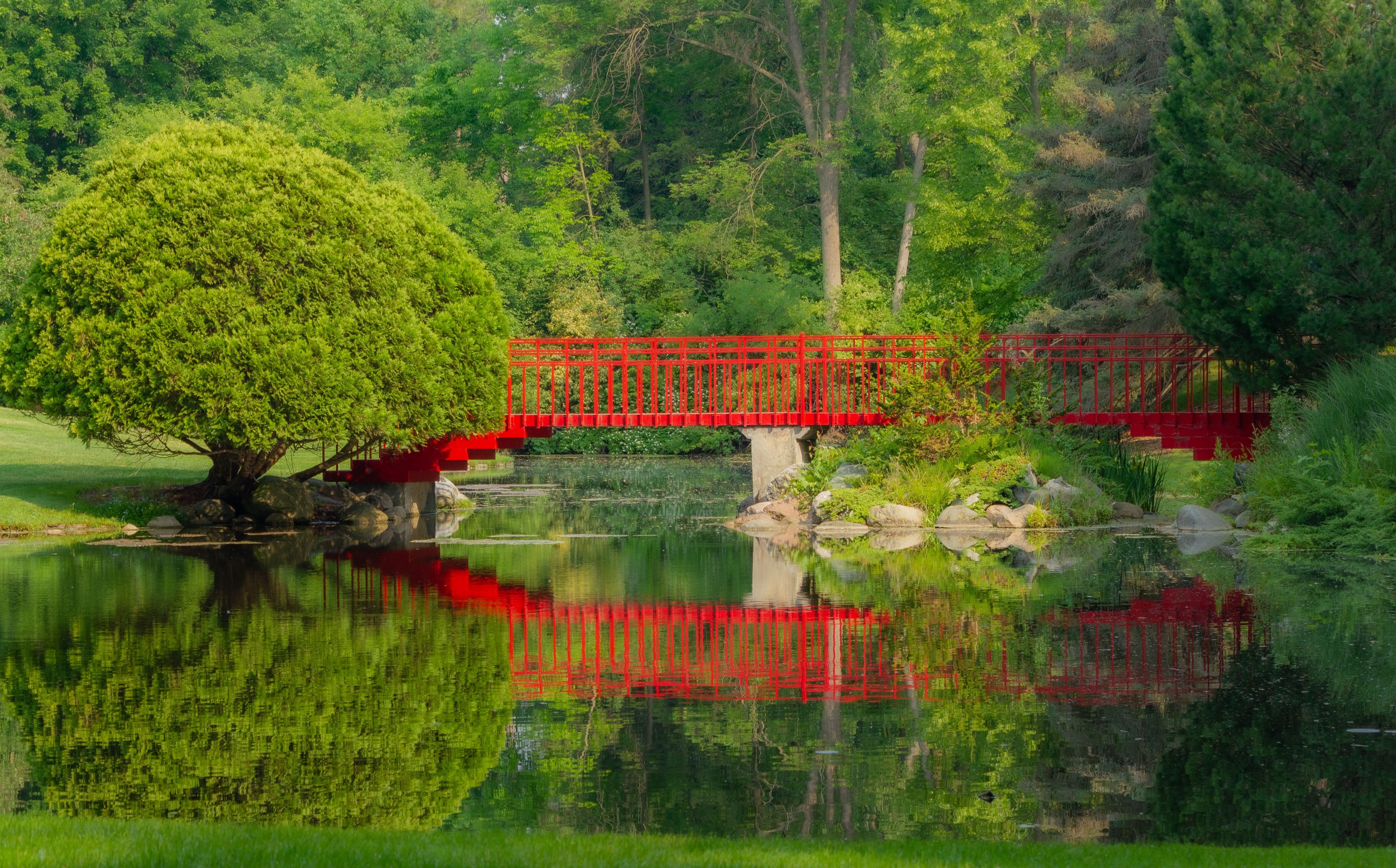 Red bridge over a pond surrounded by lush greenery at Matthaei Botanical Gardens in Ann Arbor, Michigan.