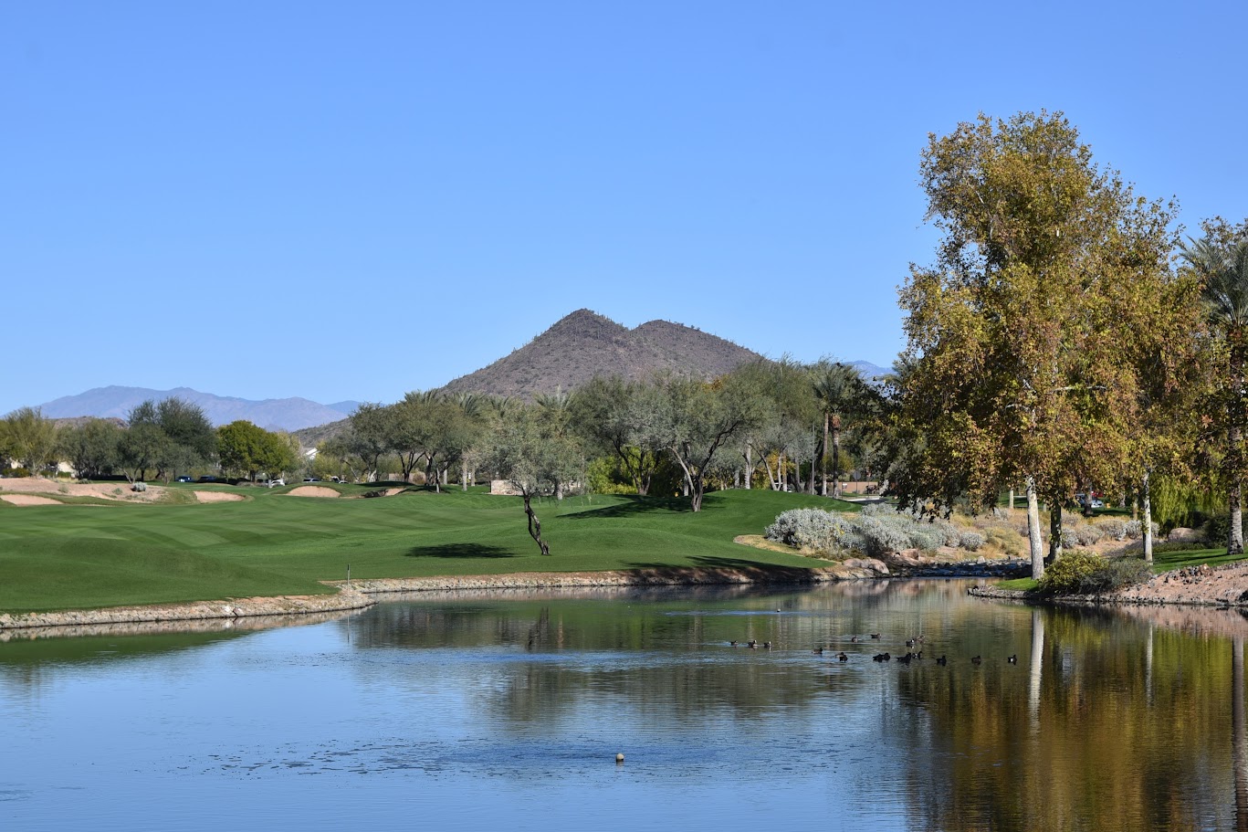 A golf course in Peoria Arizona during the fall with mountain view