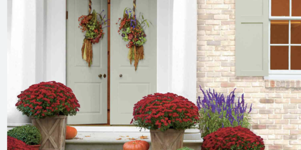 Fall Home Prep in North Carolina: How to …