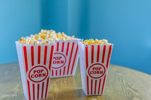 20241213180216968406000000-o