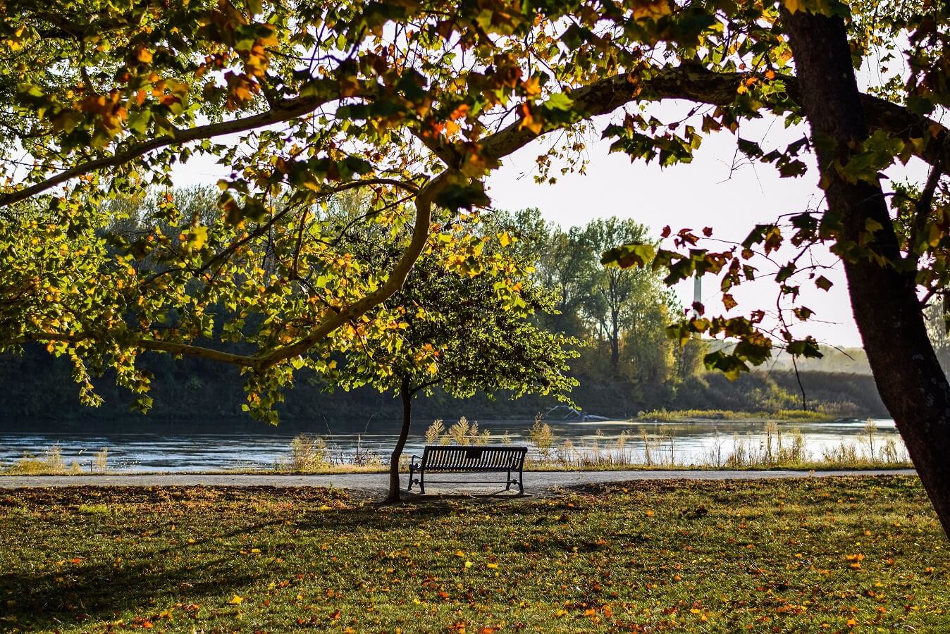 A bench next to the Missouri River
