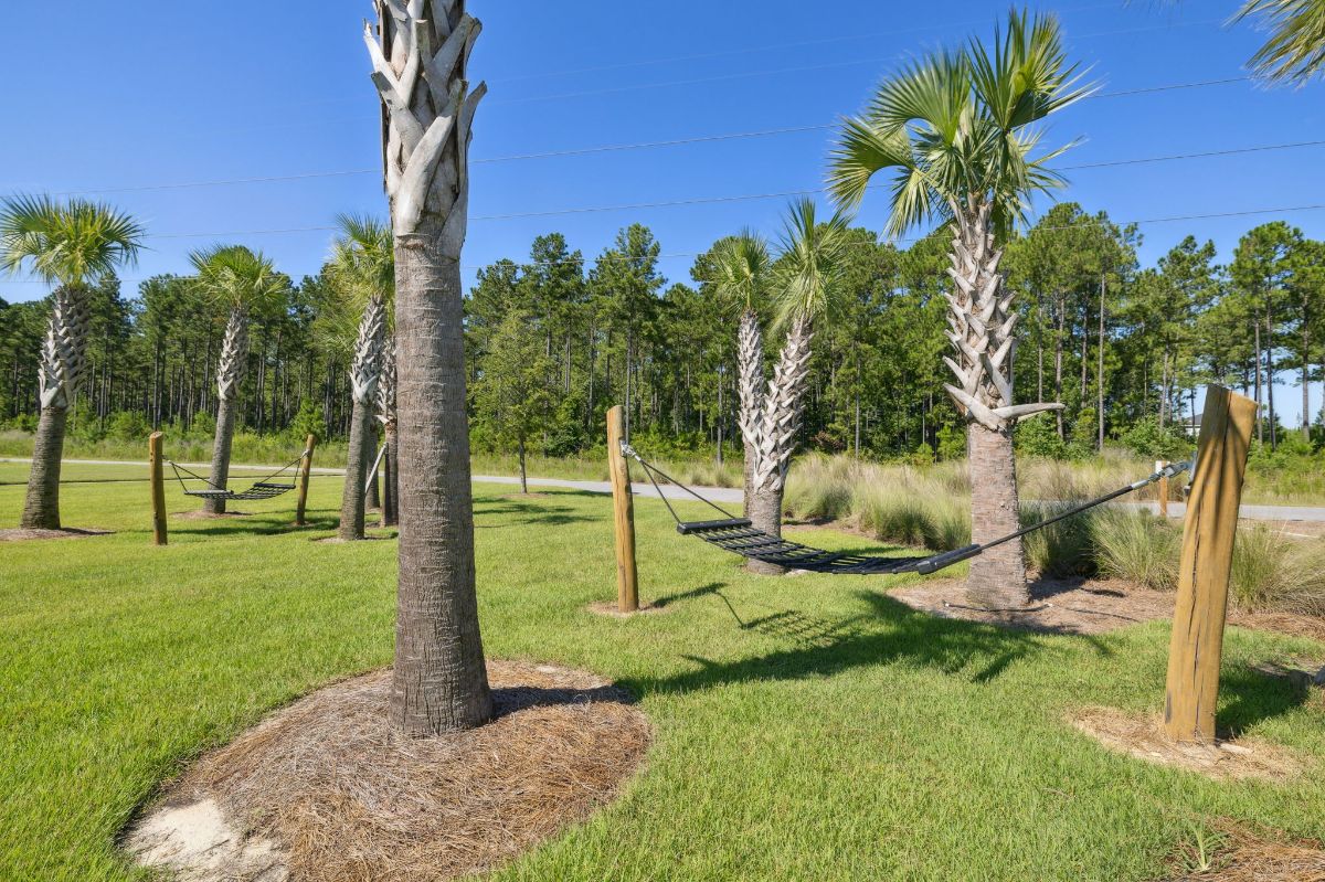 10-web-or-mls-Wildlight - Four O_Clock Park hammocks