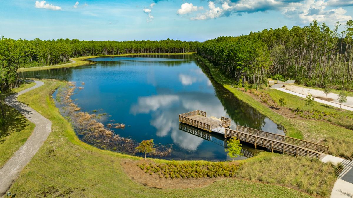 32-web-or-mls-Wildlight - Whistling Duck Pond east