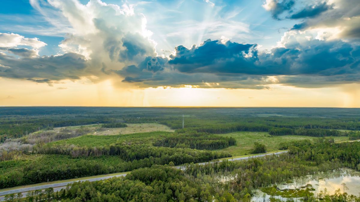 37-web-or-mls-Wildlight - sunset