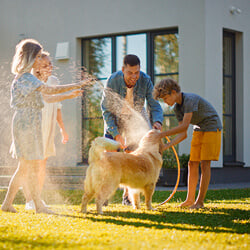 Family-Having-Fun-Time-Together-Outdoors-in-Backyard