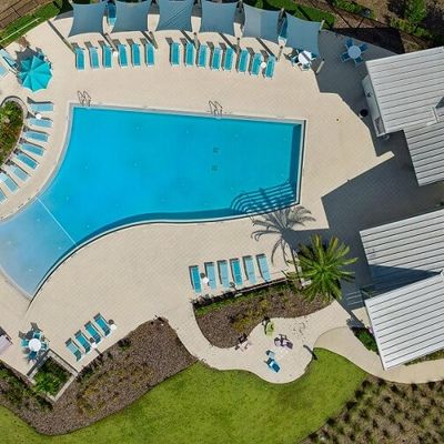 Waterbug Park pool overhead