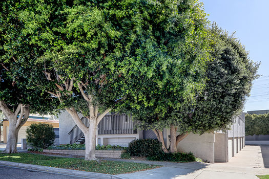 Hoffman Murphy - 848 1st_Front2