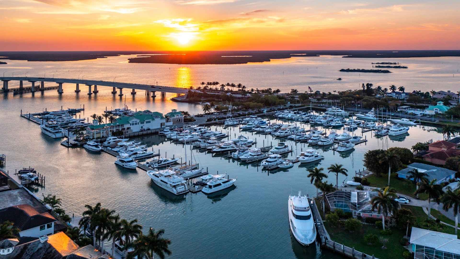 Alena - Area Page Image(13)