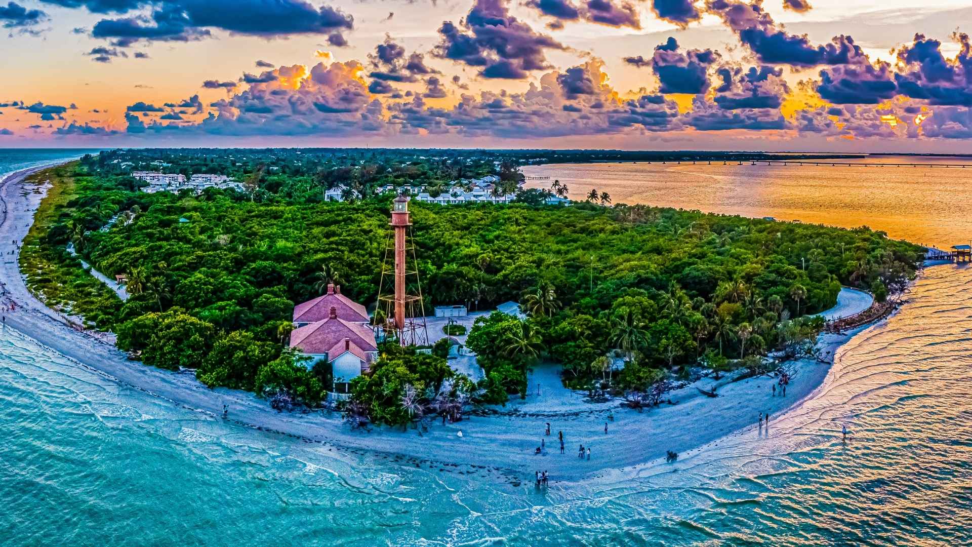 Alena - Area Page Image(4)