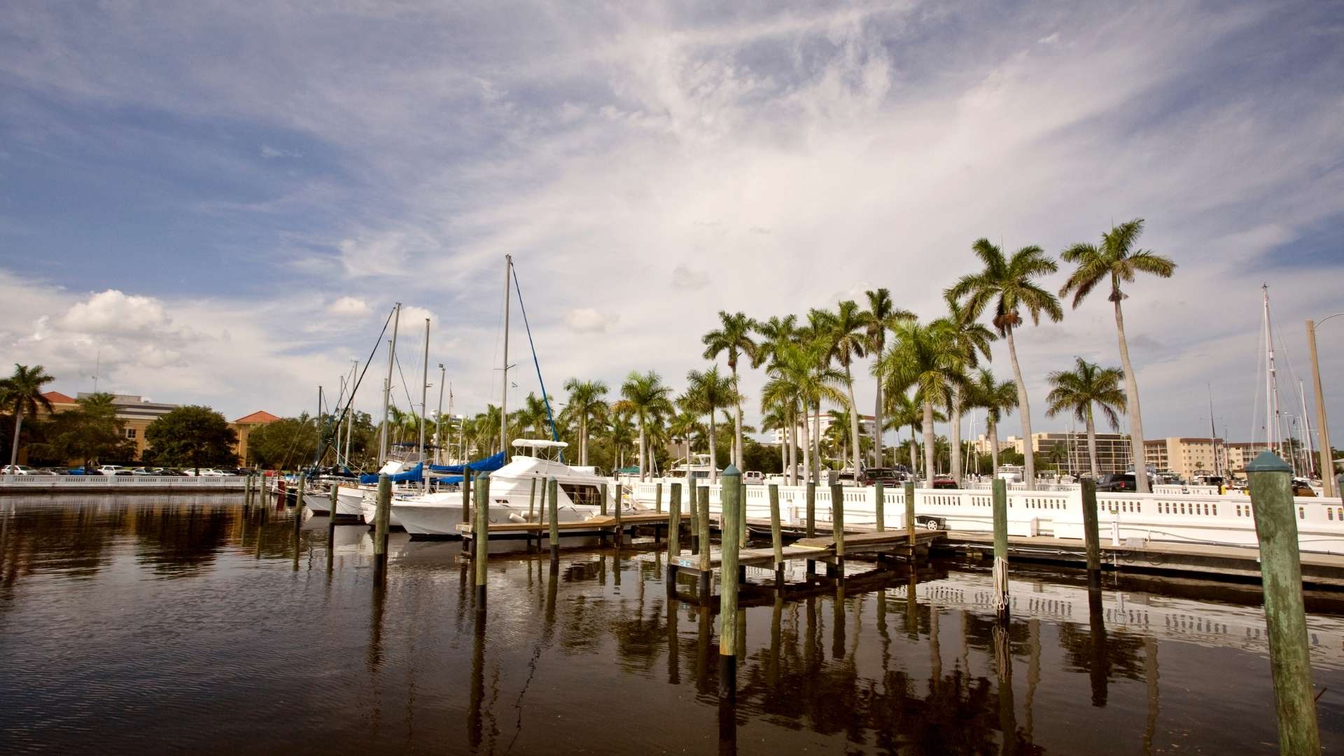 Alena - Area Page Image(4)