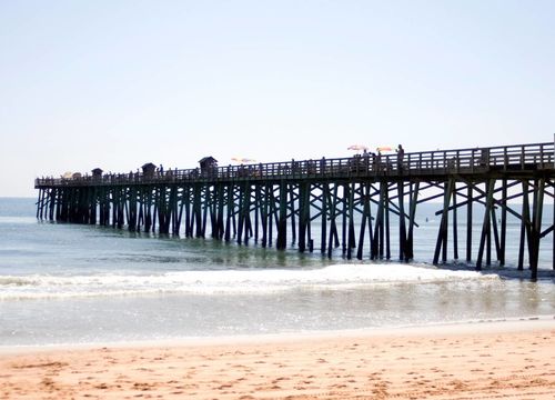 Alena - Flagler Beach, Img