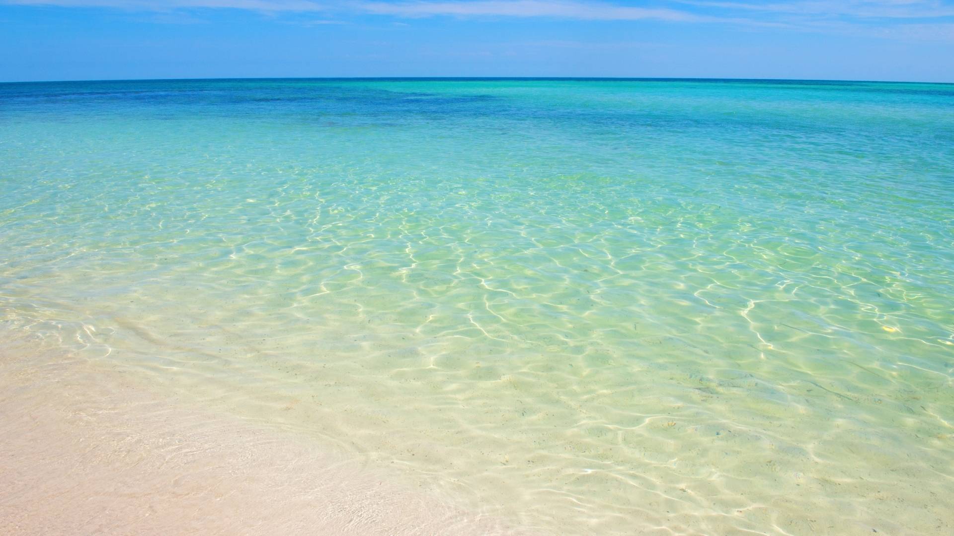 Alena - Inner Belleair Beach Img