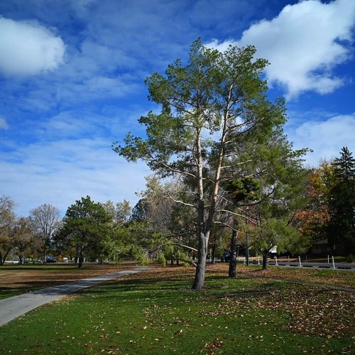 Experience Family Fun and Convenience in Roanoke, TX