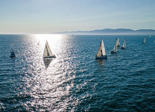 sailboats ocean sunset race