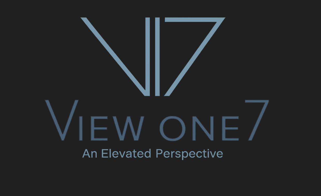 vo7 logo