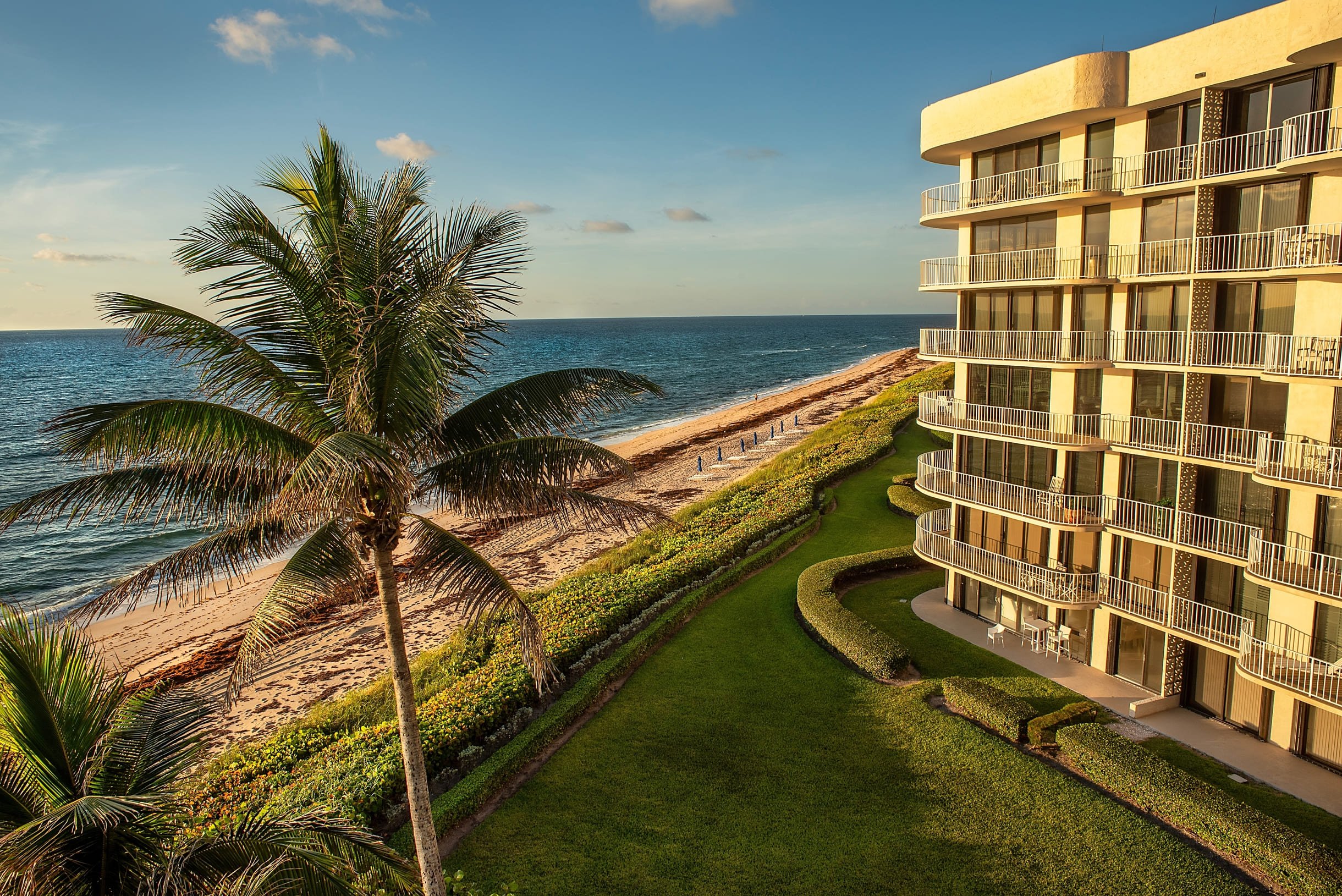 beachside-apartments-with-palms