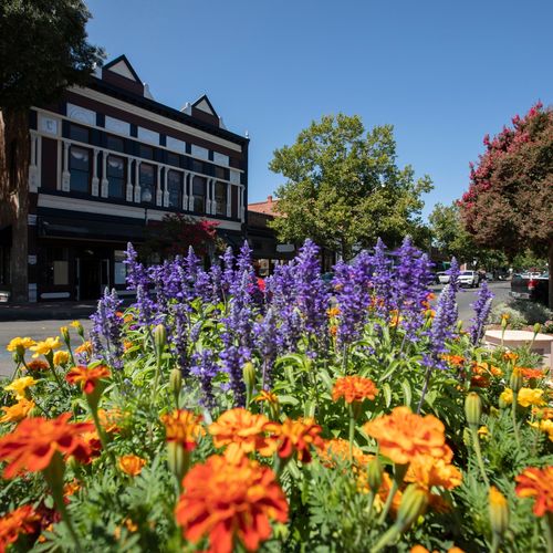 Vacaville-November 13th,2025