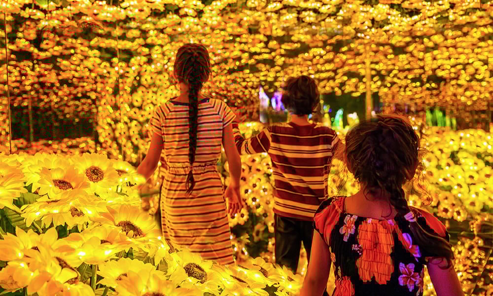 1_Step-Into-the-Infinity-of-Lights-1000×600