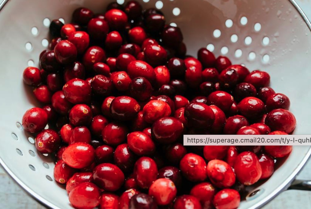 Screenshot 2025-11-24 at 10.44.30 AM