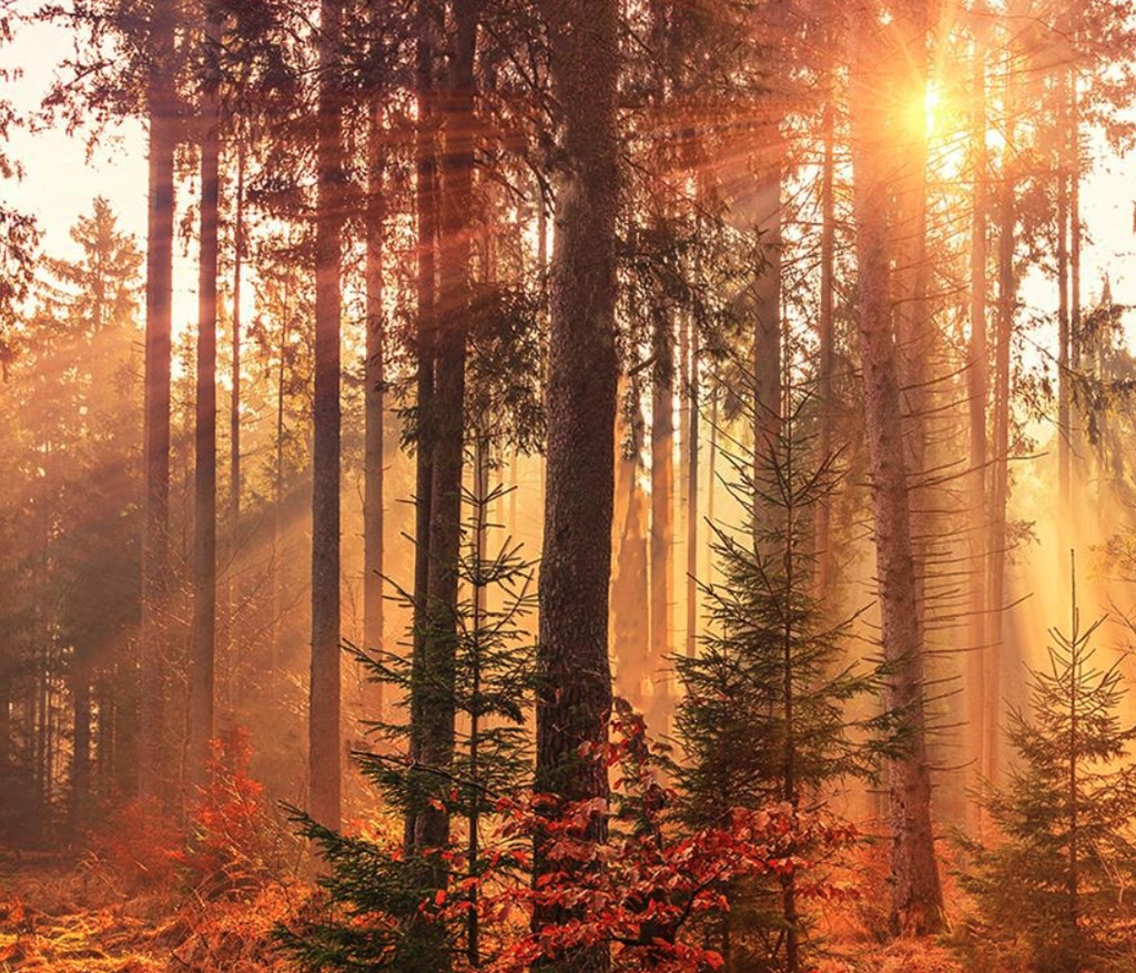 Screenshot 2025-11-24 at 11.39.03 AM