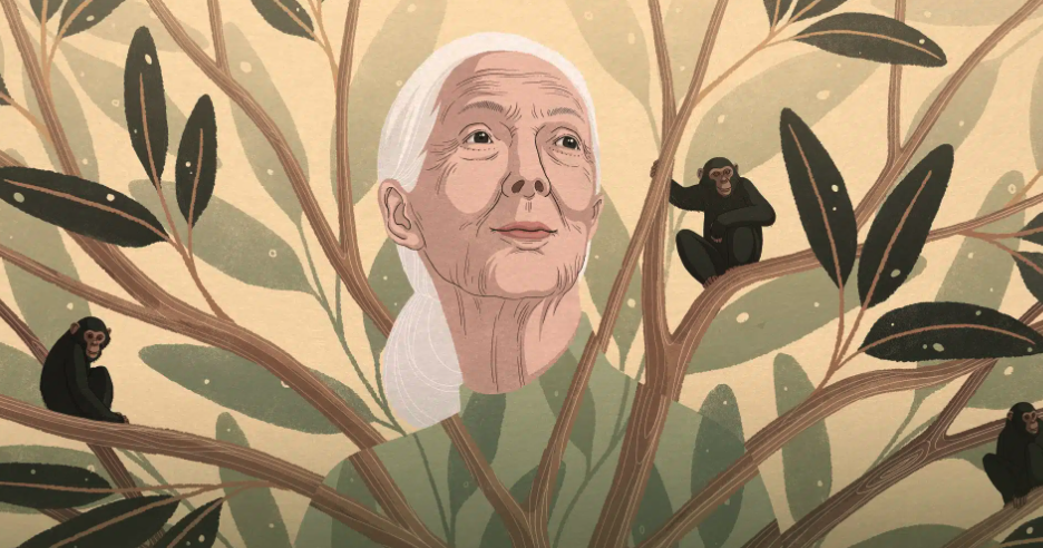 Screenshot 2025-12-12 at 12.54.07 PM