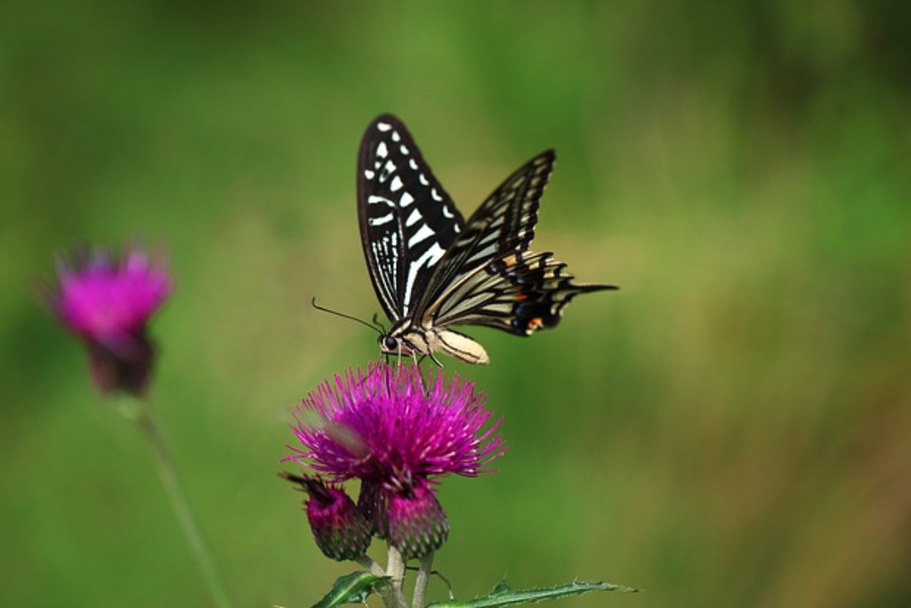 Screenshot 2026-03-19 at 7.55.39 PM