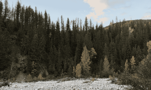 Water Management 101: Keeping Water Out of Your Mountain Home