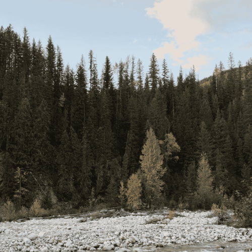 Water Management 101: Keeping Water Out of Your Mountain Home