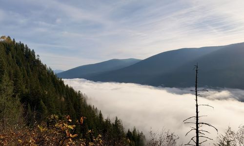 Radon in the West Kootenays: Why Now Is the Time to Test