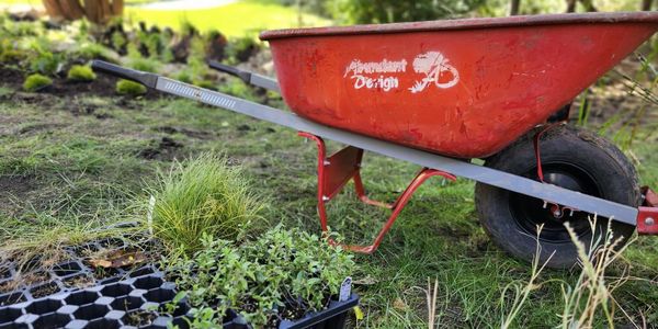 How to Manage Stormwater Around Your Home — and Get Help Paying for It