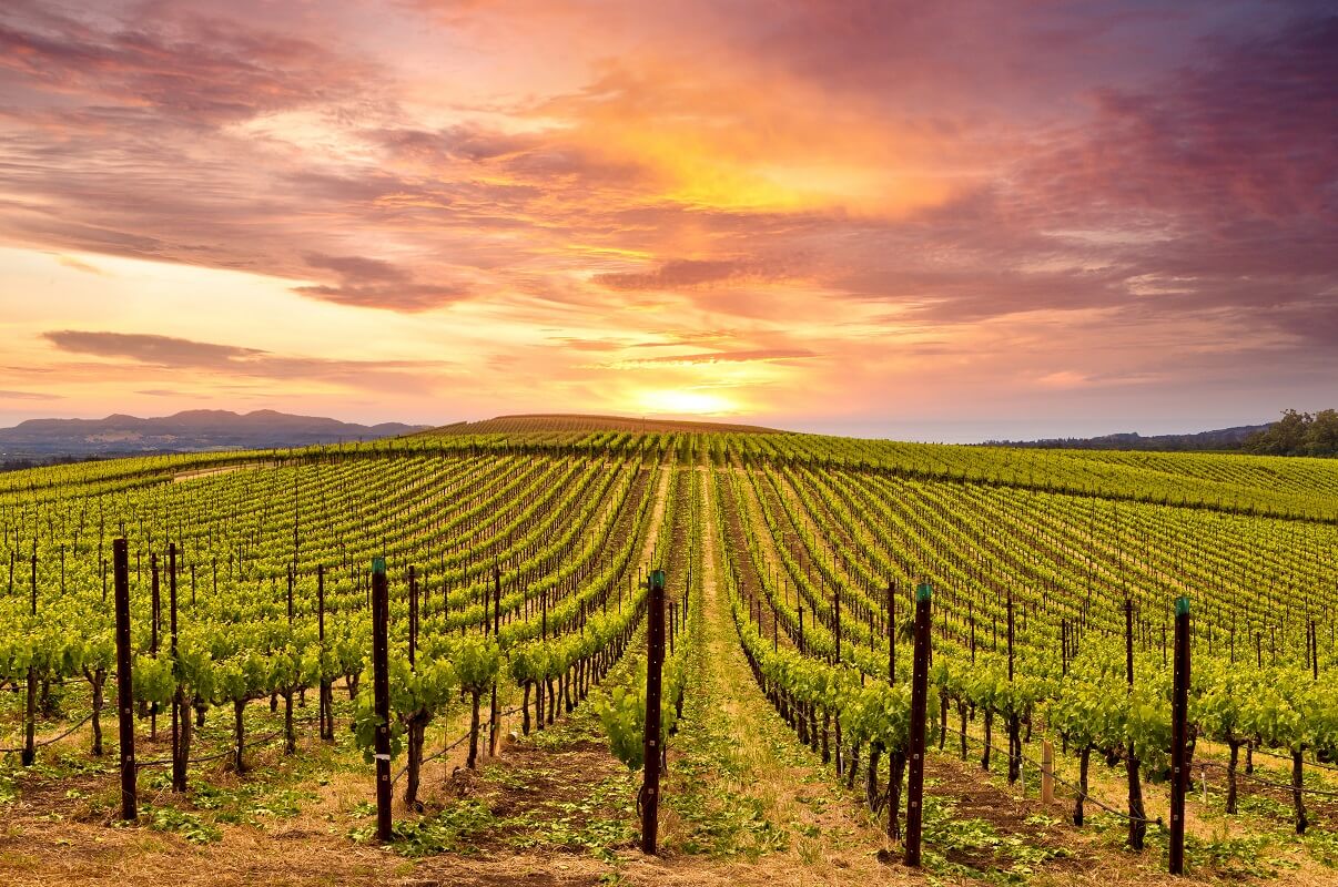 Beautiful Sunset Sky in Napa Valley Wine Country