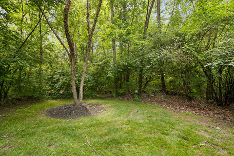 86-web-or-mls-9601-irishmans-run-ln