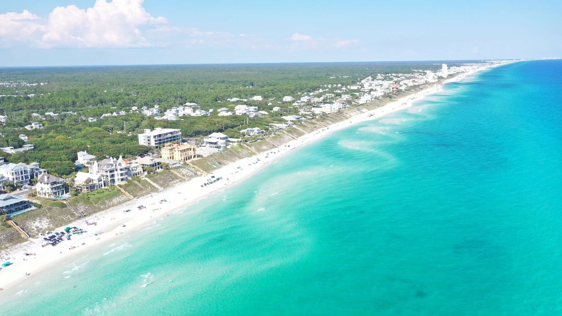 Cindy Shoremaker - Seashore