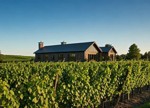 vineyard house sunset view