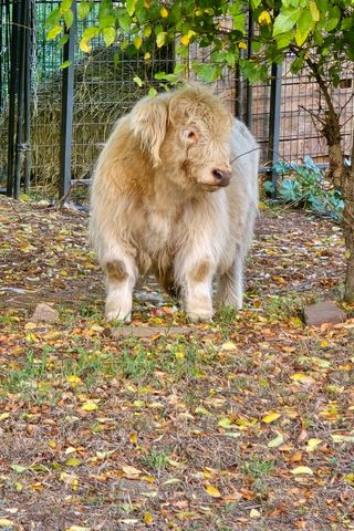 20251106_161600 (1) (1)