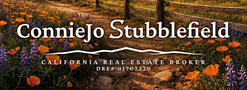 Stretched-Website-Banner-1920x700