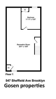 547 Sheffield Avenue, Brooklyn, NY 11207 (20)