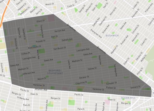 bedford stuyvesant 3.png
