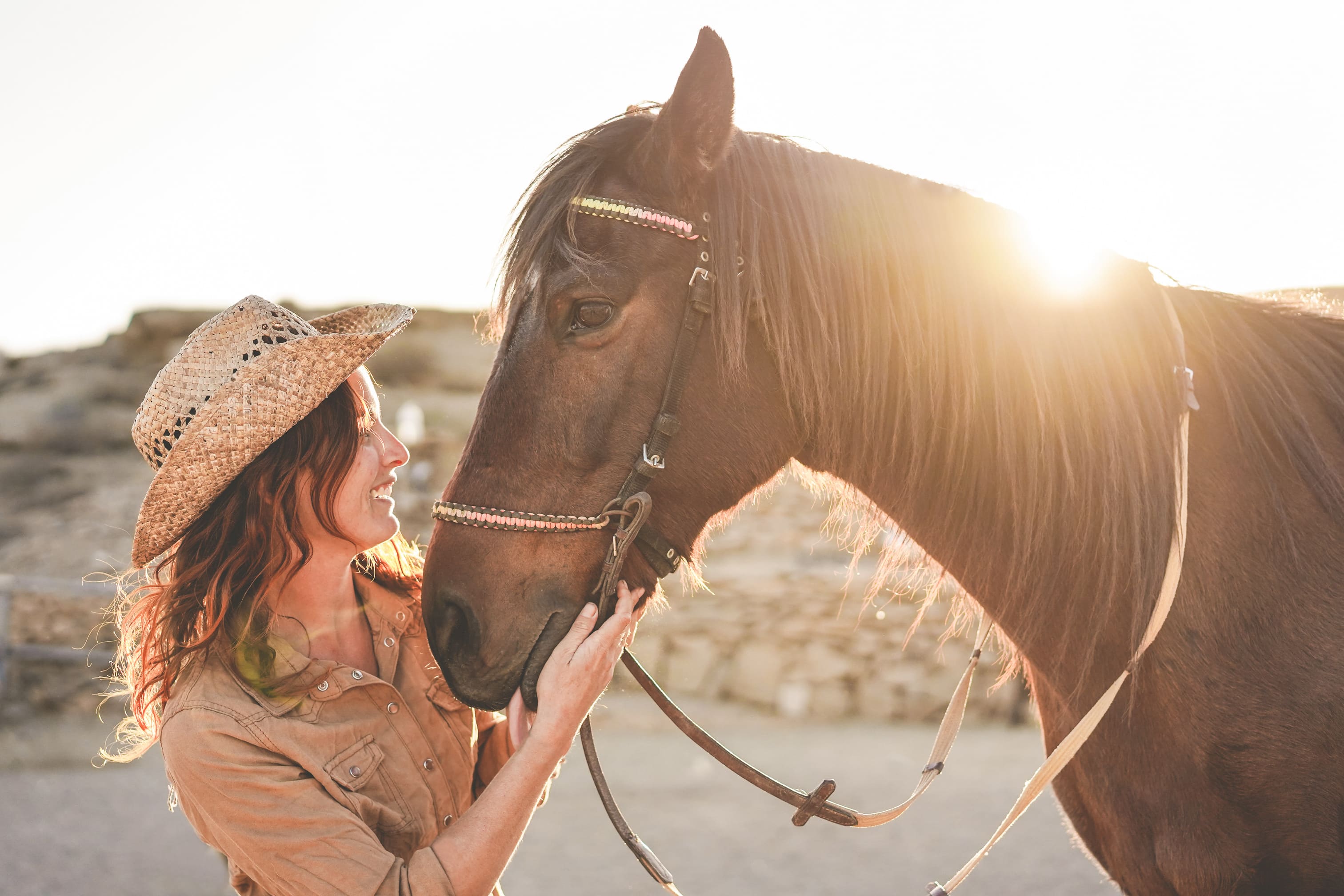 Equestrian Properties (1)