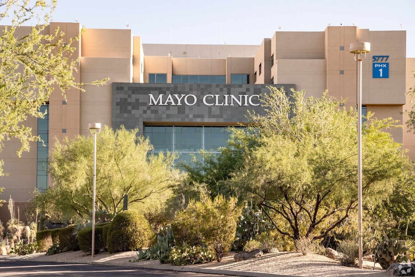 mayo clinic